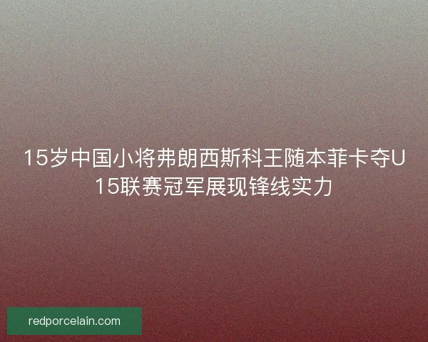 15岁中国小将弗朗西斯科王随本菲卡夺U15联赛冠军展现锋线实力