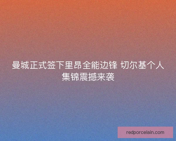 曼城正式签下里昂全能边锋 切尔基个人集锦震撼来袭