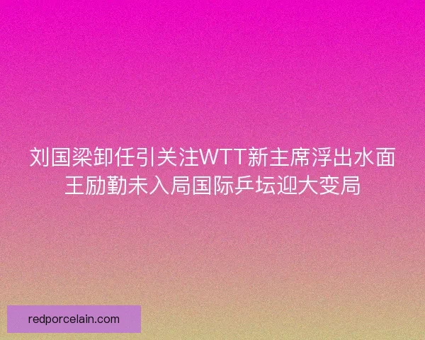 刘国梁卸任引关注WTT新主席浮出水面王励勤未入局国际乒坛迎大变局