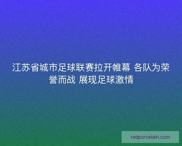 江苏省城市足球联赛拉开帷幕 各队为荣誉而战 展现足球激情