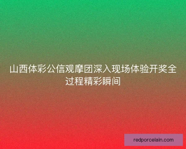 山西体彩公信观摩团深入现场体验开奖全过程精彩瞬间