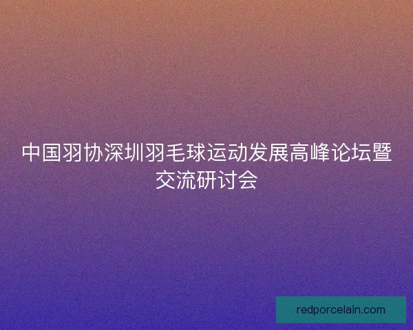 中国羽协深圳羽毛球运动发展高峰论坛暨交流研讨会 中国羽协深圳羽毛球运动发展高峰论坛暨交流研讨会